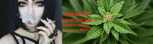 spice Белокуриха