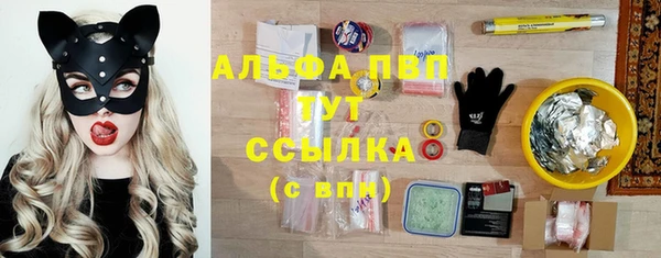 spice Белокуриха